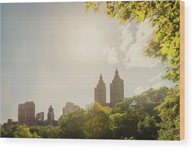 Central Park Wood Print featuring the photograph Central Park Nyc, Manhattan by Ppampicture