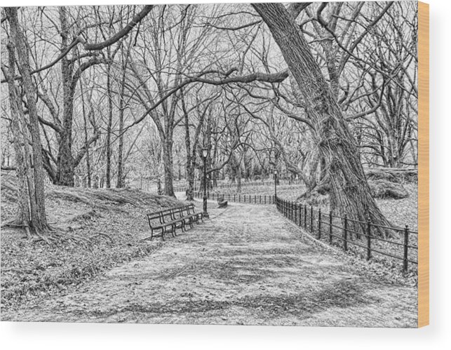 630 Central Park Illustrations RoyaltyFree Vector Graphics  Clip Art   iStock  New york city Central park spring Central park fall