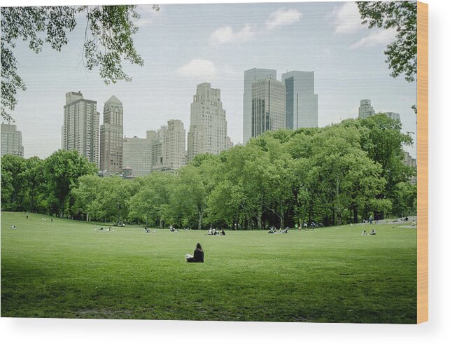 Apartment Wood Print featuring the photograph Central Park by Yiming Chen