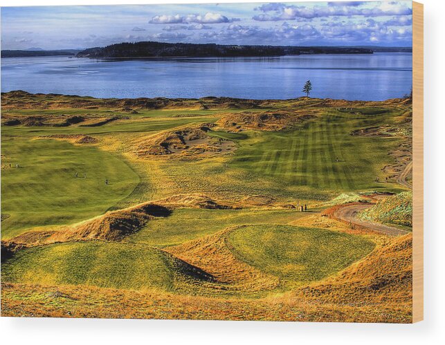 Chambers Bay Golf Course Wood Print featuring the photograph Chambers Bay Lone Tree by David Patterson