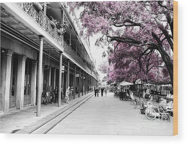 Buildings Wood Print featuring the photograph Characteristics of New Orleans-V13 by Douglas Barnard