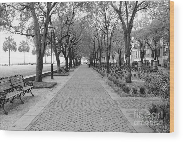 Charleston Wood Print featuring the photograph Charleston Waterfront Park Walkway - Black and White by Carol Groenen