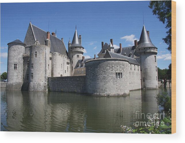 Castle Wood Print featuring the photograph Chateau de Sully-sur-Loire With Moat by Christiane Schulze Art And Photography