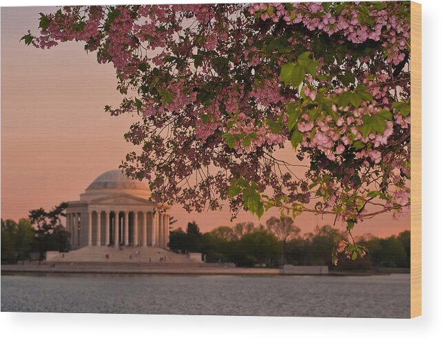 America Wood Print featuring the photograph Cherry Blossoms Framing the Jefferson Memorial at Sunset by Mitchell R Grosky