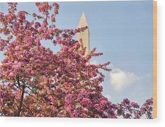 America Wood Print featuring the photograph Cherry Trees and Washington Monument One by Mitchell R Grosky