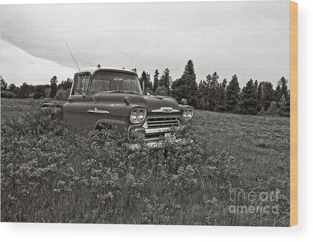 Old Truck Wood Print featuring the photograph Chevrolet Apache Colorado by Ron Chilston