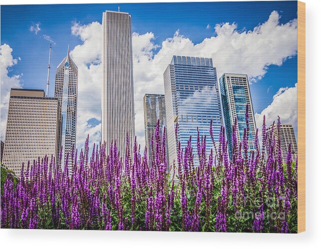 2012 Wood Print featuring the photograph Chicago Downtown Buildings and Spring Flowers by Paul Velgos