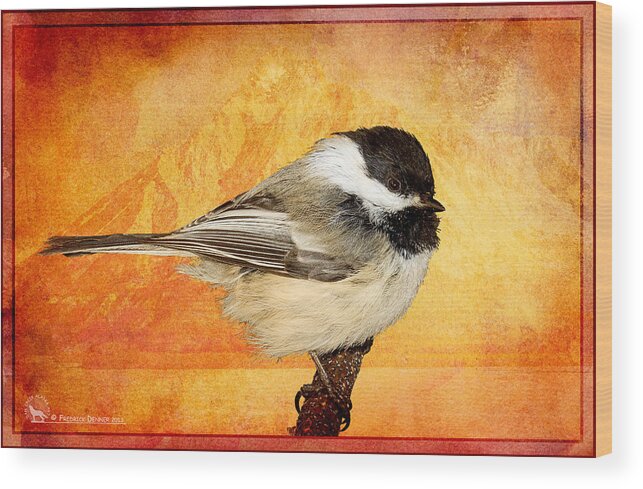 Chickadee.bird Wood Print featuring the pyrography Chickadee by Fred Denner