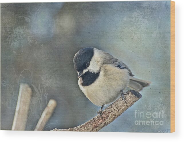 Nature Wood Print featuring the photograph Chickadee with texture by Debbie Portwood