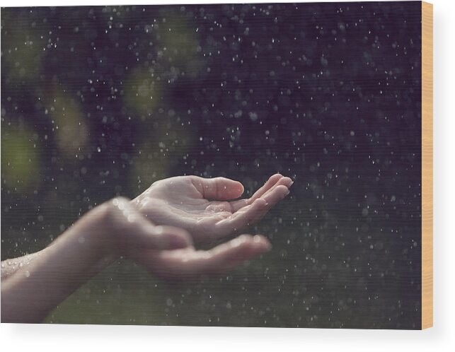 Shower Wood Print featuring the photograph Child catching falling raindrops in hands by Elva Etienne