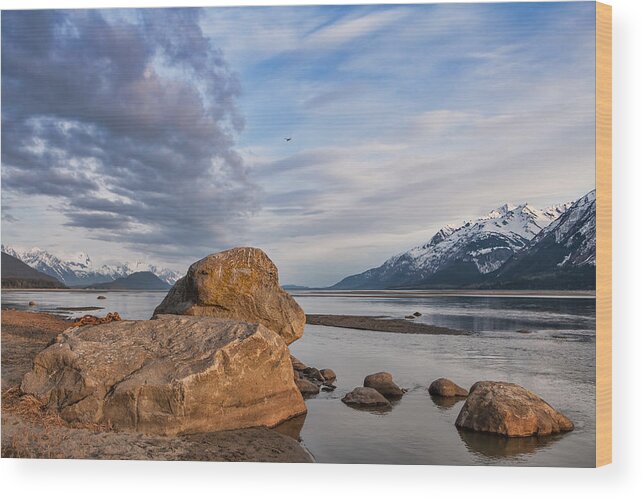 Alaska Wood Print featuring the photograph Chilkat Beach Sunset by Michele Cornelius