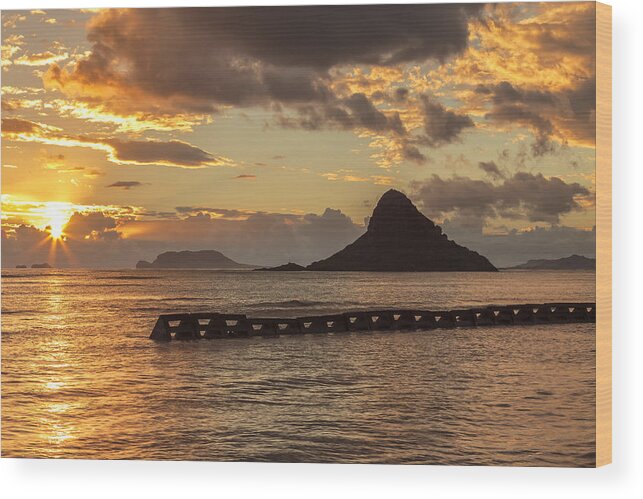 Aqua Wood Print featuring the photograph Chinaman's Hat 5 by Leigh Anne Meeks