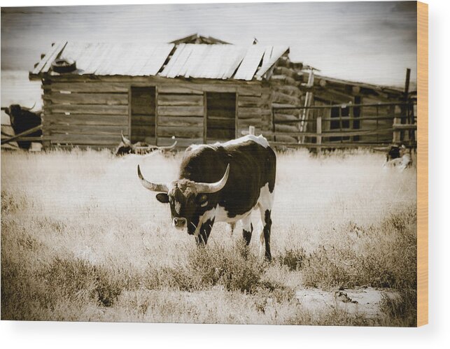 Horizontal Wood Print featuring the photograph Chocolate Pepper - Jeffrey City - Wyoming by Diane Mintle