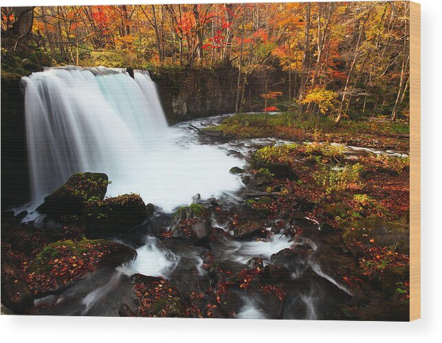 Waterfall Wood Print featuring the photograph Choushi - Ootaki Waterfall in Autumn by Brad Brizek