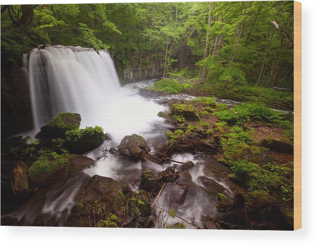 Waterfall Wood Print featuring the photograph Choushi - Ootaki Waterfall in Summer by Brad Brizek