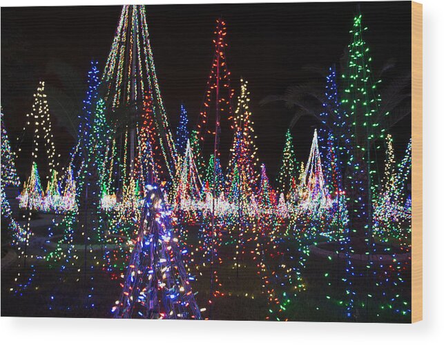 Christmas Wood Print featuring the photograph Christmas Lights 3 by Richard Goldman