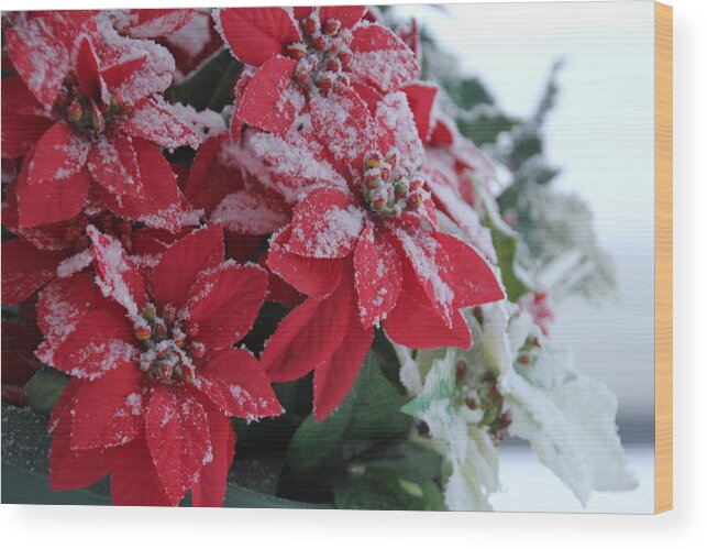 Poinsettia Wood Print featuring the photograph Christmas Poinsettia Flowers by Valerie Collins