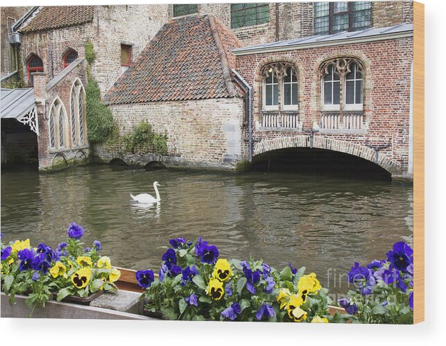 Europe Wood Print featuring the photograph Church and Swan by Crystal Nederman