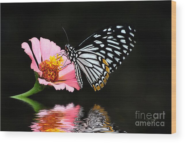 Butterfly Wood Print featuring the photograph Cliche by Lois Bryan