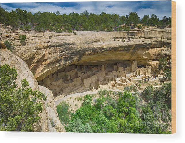 Usa Highlights Wood Print featuring the photograph Cliff Palace by Juergen Klust