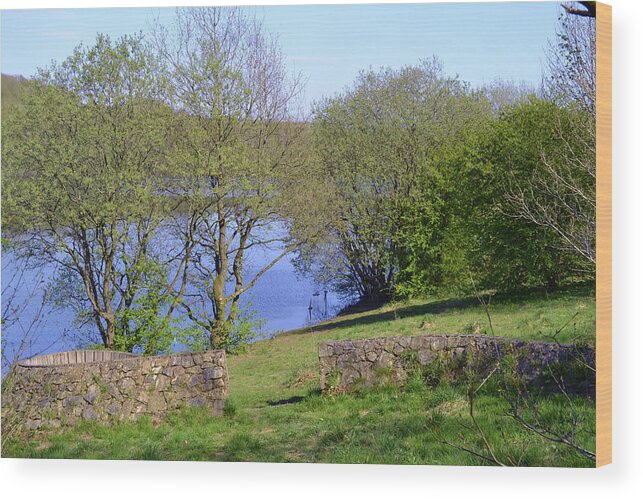 Landscape Wood Print featuring the photograph Clifton Country Park by Ryan Wilde