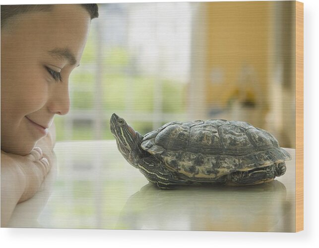 Pets Wood Print featuring the photograph Close up of Hispanic boy smiling at turtle by Jose Luis Pelaez Inc