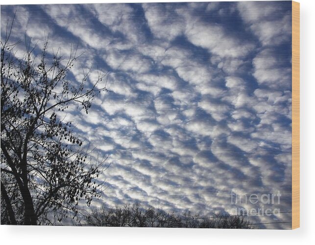 Sky Wood Print featuring the photograph Cloud of Cotton balls by Yumi Johnson