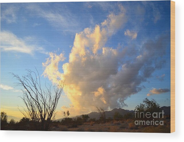 Clouds Wood Print featuring the photograph Clouds Clouds Clouds by Johanne Peale