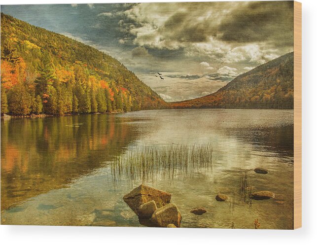 Landscape Wood Print featuring the photograph Clouds In The Valley by Cathy Kovarik