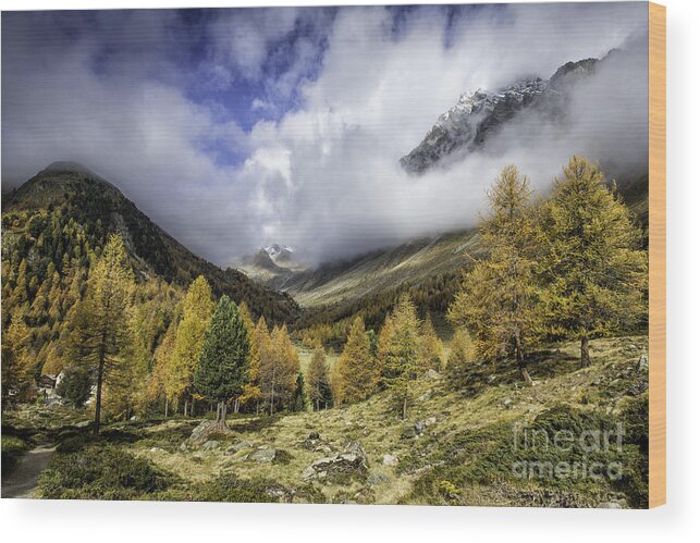  Pontresina Wood Print featuring the photograph Clouds of Pontresina Switzerland by Timothy Hacker