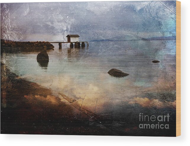 Boat_house Wood Print featuring the photograph Coastal Path by Randi Grace Nilsberg