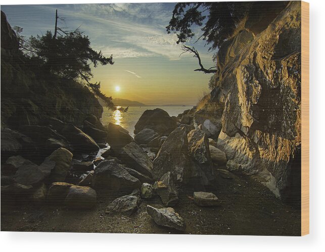 Bellingham Wood Print featuring the photograph Coastal by Ryan McGinnis