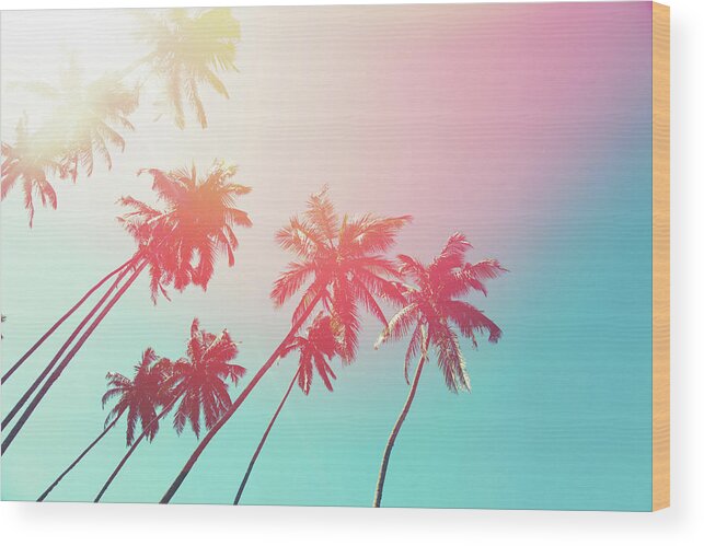 Water's Edge Wood Print featuring the photograph Coconut Trees And Turquoise Indian Ocean by Danilovi