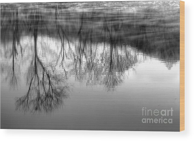 River Monochrome Wood Print featuring the photograph Cold Reflection by Michael Eingle
