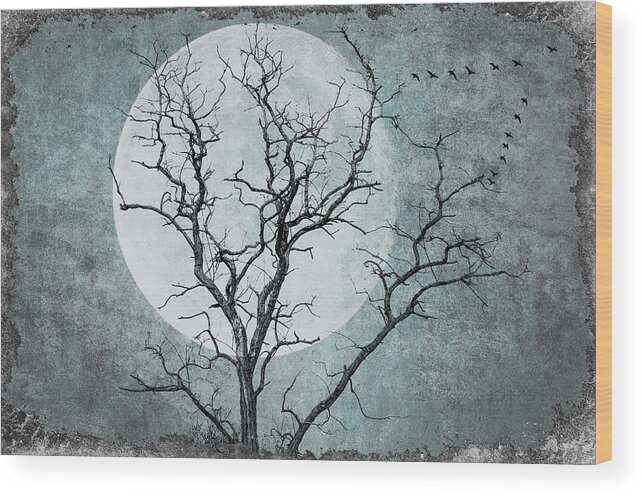 Tree Wood Print featuring the photograph Cold Winter Night by Cathy Kovarik