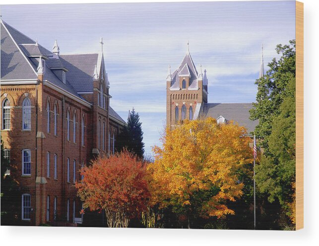 Scenics Wood Print featuring the photograph College campus during fall with changing trees by Bauhaus1000