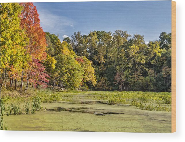 Foliage Wood Print featuring the photograph Color At The Swamp by Cathy Kovarik
