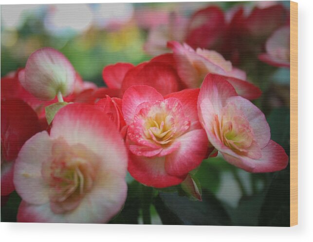 Soft Wood Print featuring the photograph Color Soft by Jeff Mize