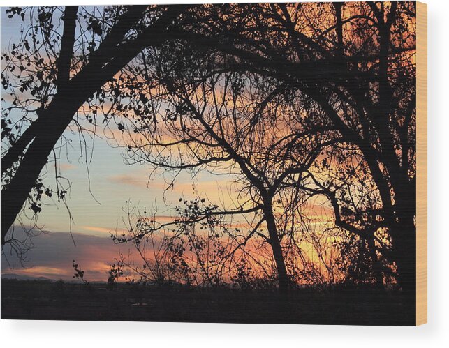 Sunset Wood Print featuring the photograph Color Through The Trees by Shane Bechler