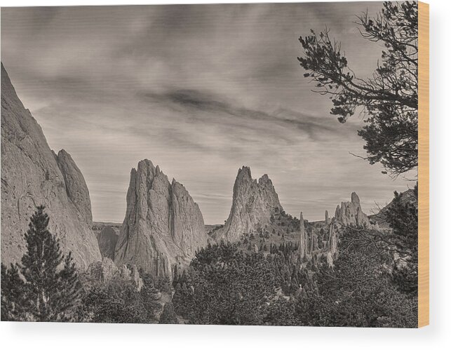 Garden Of The Gods Wood Print featuring the photograph Colorado Garden of the Gods Mono Tone View by James BO Insogna