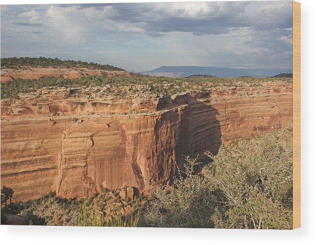 Colorado National Monument Wood Print featuring the photograph Colorado National Monument 16 by Mary Bedy
