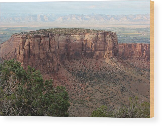 Colorado National Monument Wood Print featuring the photograph Colorado National Monument 8 by Mary Bedy