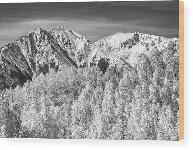 Snow Wood Print featuring the photograph Colorado Rocky Mountain Autumn Magic Black and White by James BO Insogna