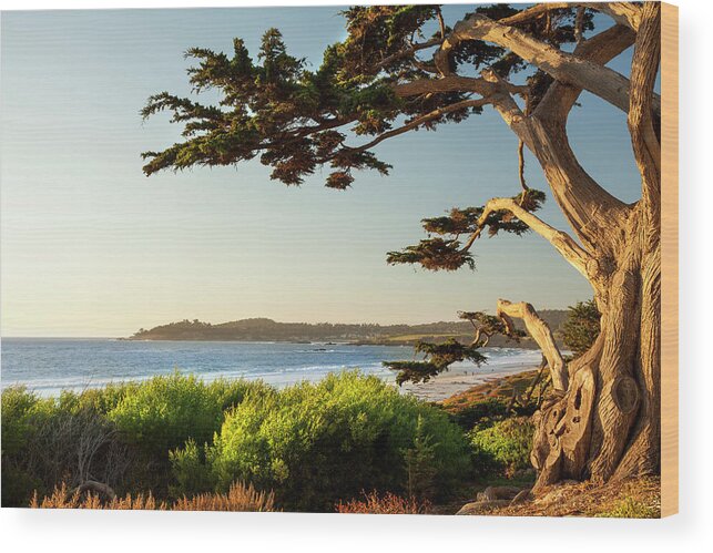 Scenics Wood Print featuring the photograph Colorful Beachfront In Carmel-by-the-sea by Pgiam