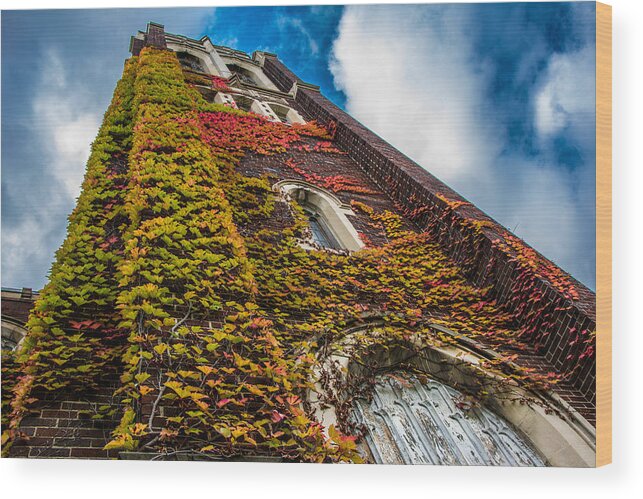 Bell Tower Wood Print featuring the photograph Colorful Bell Tower by Pravin Sitaraman