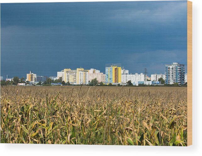 Bratislava Wood Print featuring the photograph Colorful Bratislava City by Andreas Berthold