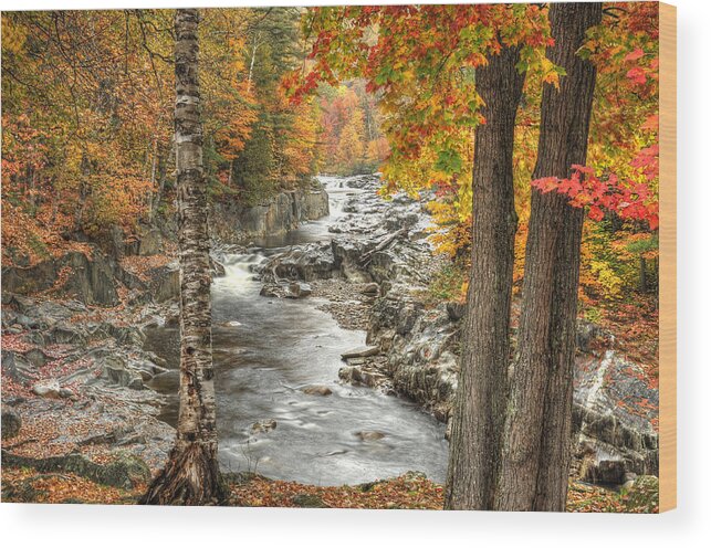 Photograph Wood Print featuring the photograph Colorful Creek by Richard Gehlbach