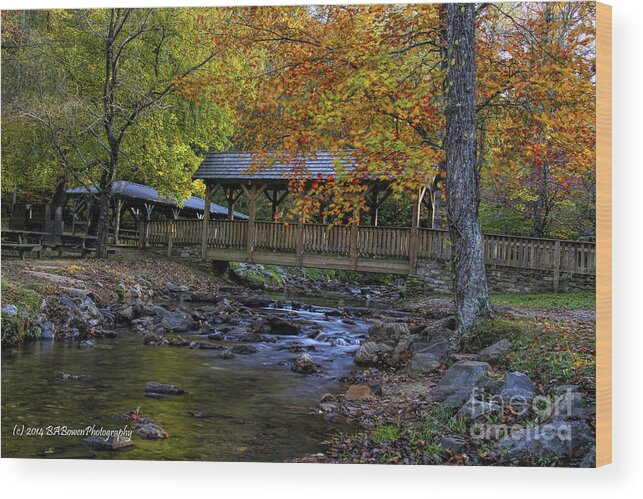 Vogel State Park Wood Print featuring the photograph Colorful Footbridge Crossing by Barbara Bowen