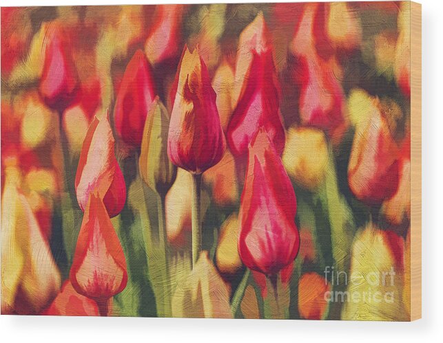 Painterly Wood Print featuring the photograph Colorful Tulips by Darren Fisher