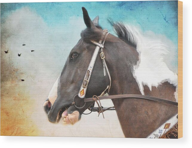 Animals Wood Print featuring the photograph Comanche by Jan Amiss Photography